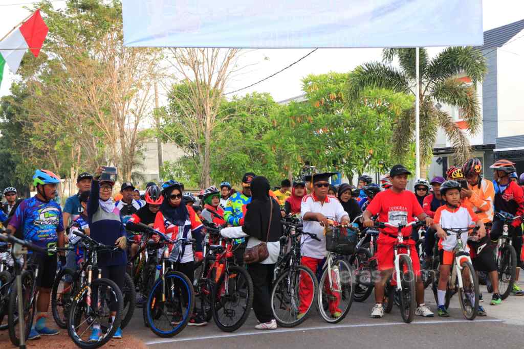 gowes1