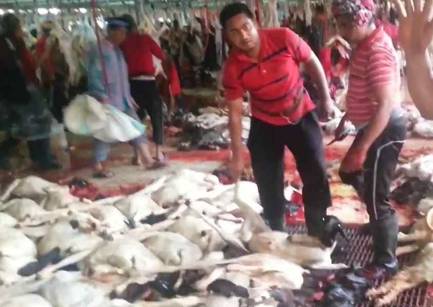 Jamaah Haji Kabupaten Banjar Ikuti Prosesi Kurban Sebagai Pembayar DAM 2 Dam3