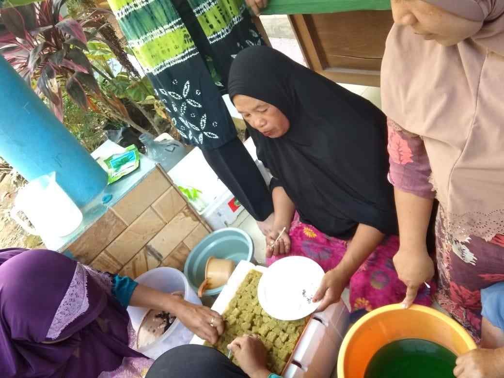 Ternyata Inilah Kampung Hidroponik 2 WhatsApp Image 2018 09 04 at 14.52.40