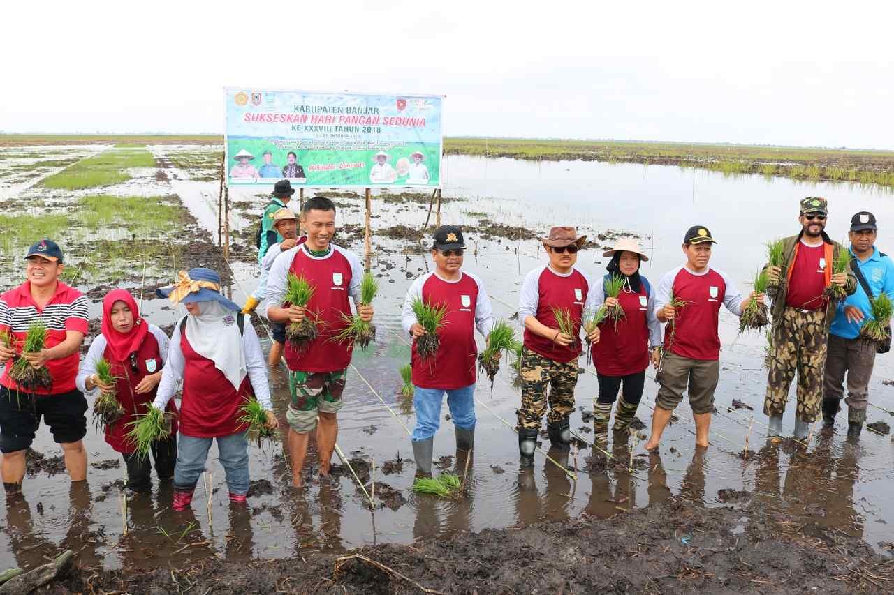 Gerakan Tanam Padi Kabupaten Banjar Sambut Hari Pangan Dunia 3 WhatsApp Image 2018 10 13 at 3.36.07 PM