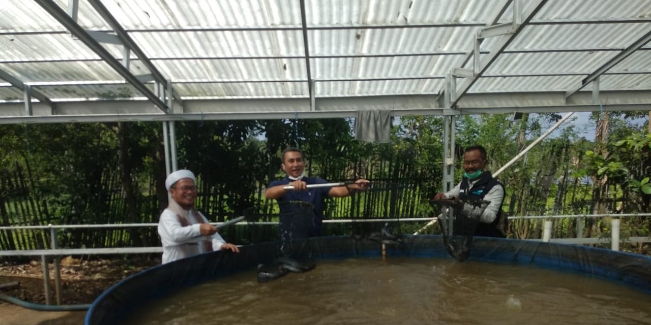 Kadiskan Banjar HM. Riza Dauly hadiri panen ikan lele sistem Bioflok di Ponpes Ushuluddin Desa Tambak Anyar Martpurta Timur