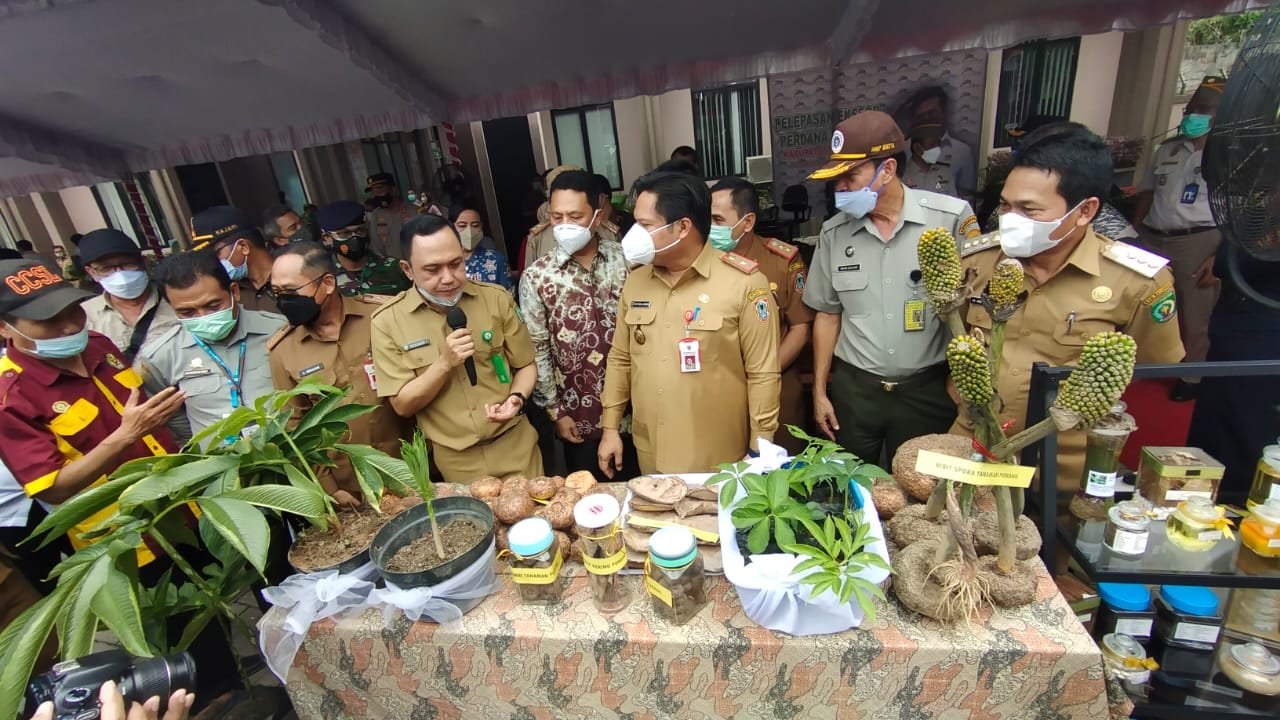 IMG 20210412 WA0002