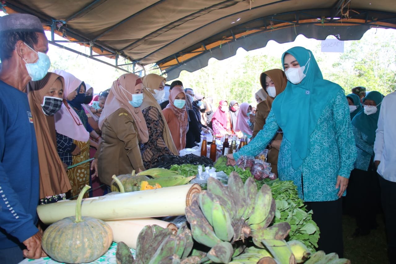 Ketua TP PKK Kabupaten Banjar Nurgita Tiyas buka Pasar Murah di Mangkauk Pengaron yang turut serta memasarkan produk pertanian lokal