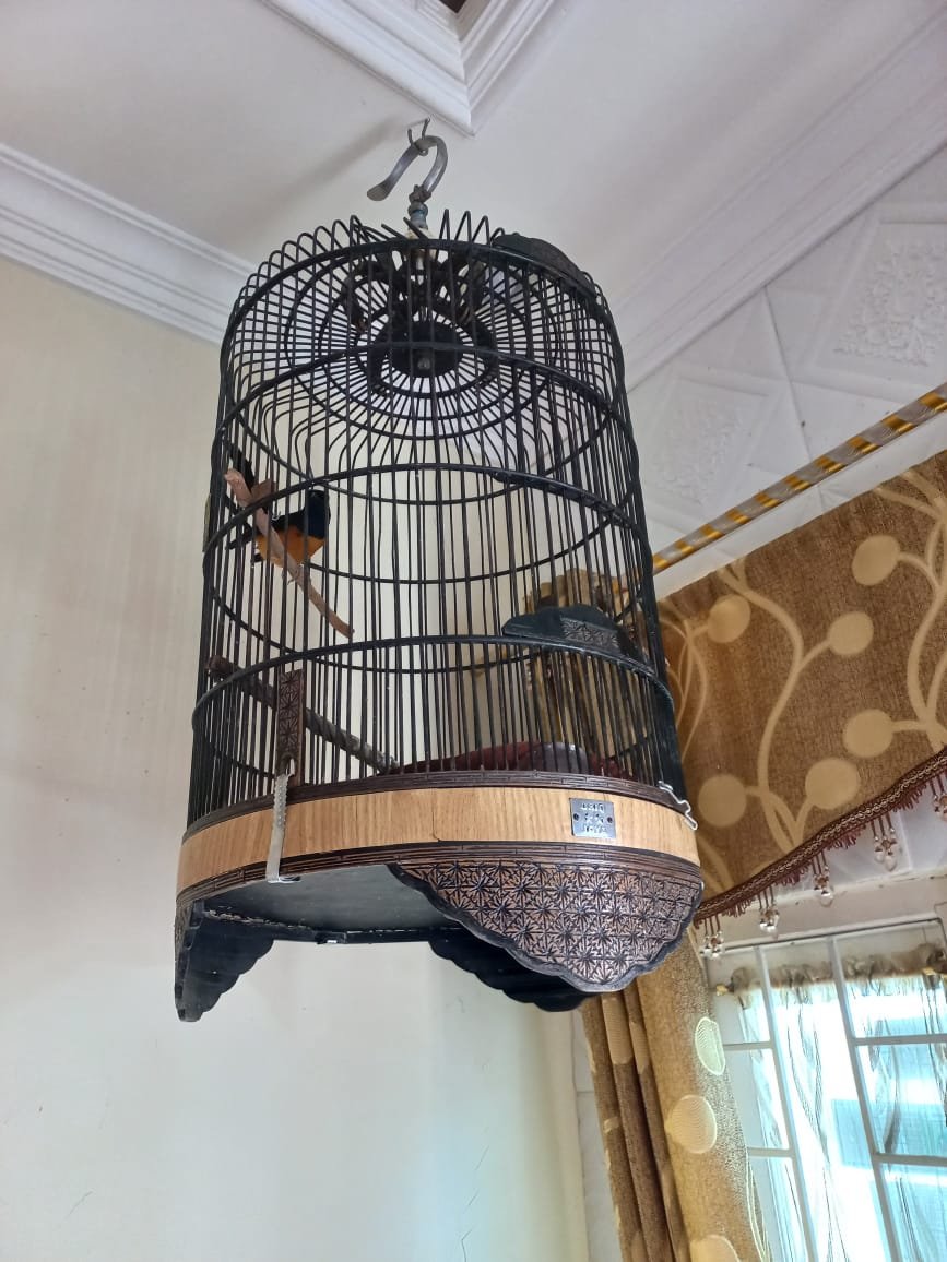Seorang Pria di Martapura Nekat Curi Burung Murai 2 IMG 20211105 WA0017