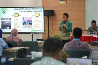 Bupati Balangan Abdul Hadi ketika menjadi pemateri pengembangan inovasi daerah di BPSDM Kemendagri