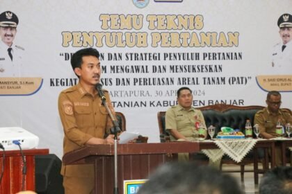 IMG 20240508 WA0003