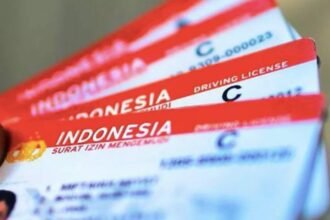 Surat Izin Mengemudi SIM 11 1024x626 1