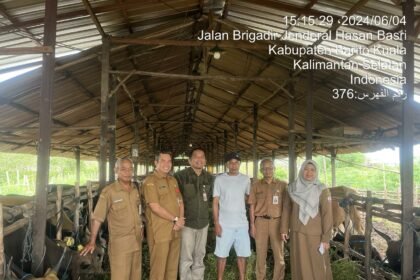 IMG 20240621 WA0000 1