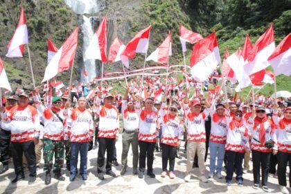 IMG 20240812 WA0001