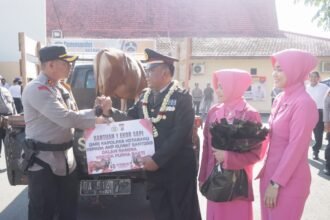 IMG 20240902 WA0047