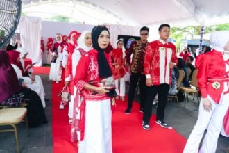 IMG 0441 1024x575 1