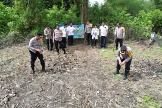 FB IMG 1732300322337