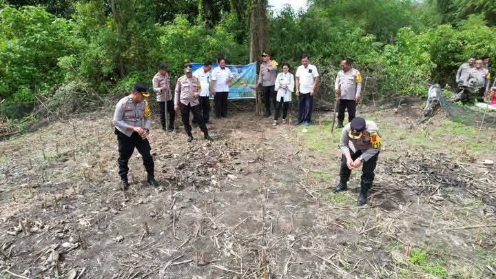 FB IMG 1732300322337