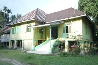IMG 20241129 WA0007