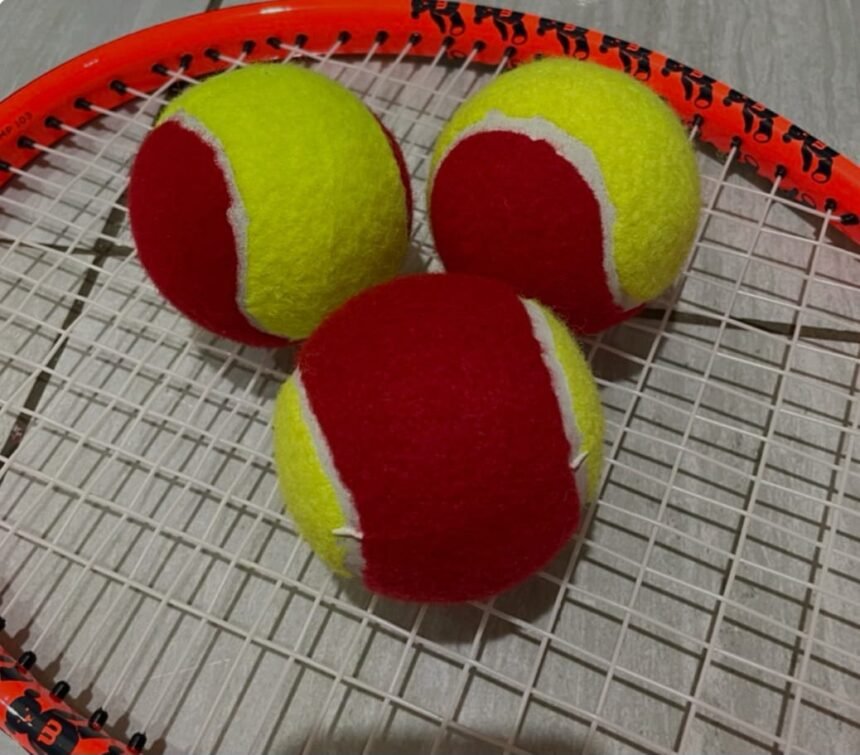 IMG 20241129 WA0013