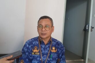 IMG 20241129 WA0018