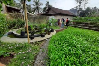 gambar pekarangan rumah 18