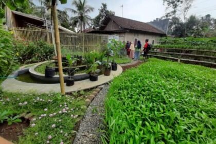 gambar pekarangan rumah 18