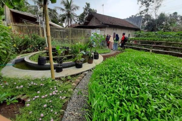 gambar pekarangan rumah 18