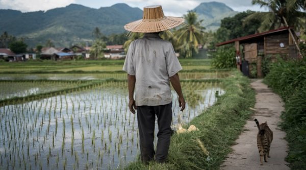 petani haji fani