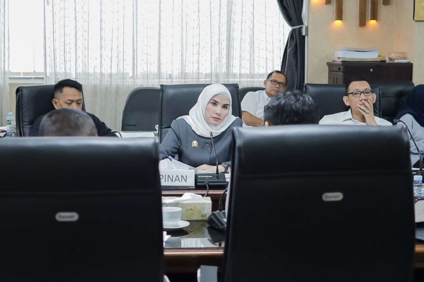 Compress 20241204 180300 0515