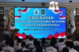 IMG 20250123 130317