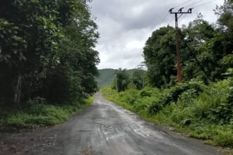 IMG 20250202 WA0014