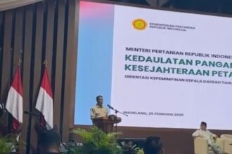 IMG 20250225 WA0019