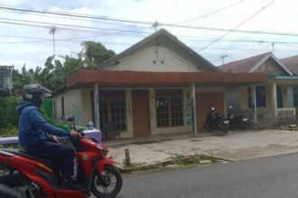 IMG 20250320 WA0011