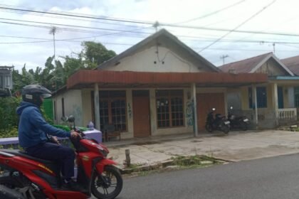 IMG 20250320 WA0011