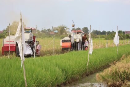 IMG 0549