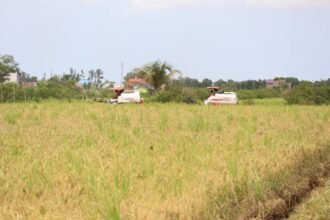 IMG 0554 2