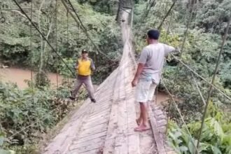 IMG 20250522 WA0056