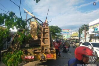 IMG 20250712 WA0020 1