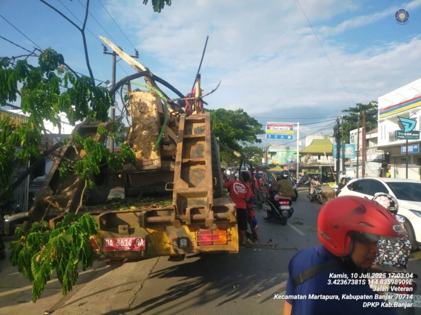 IMG 20250712 WA0020 1