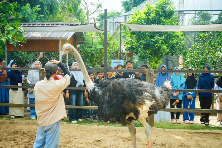 EDUKASI AVIARY