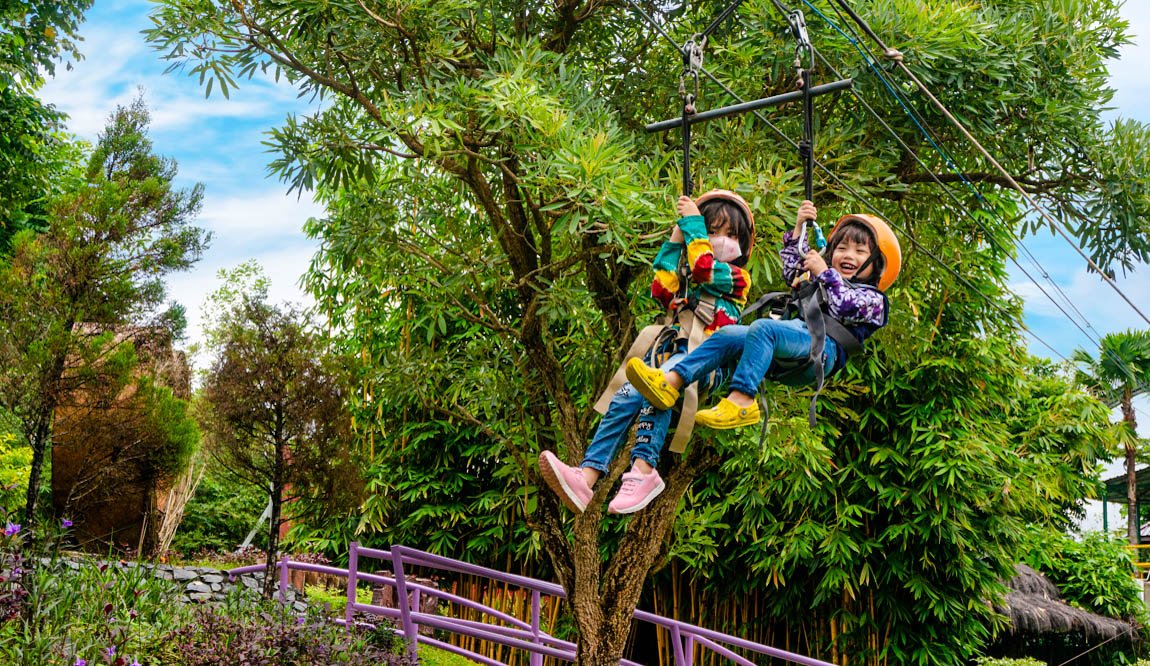 Flying Fox 2
