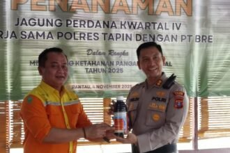 IMG 20251104 WA0033