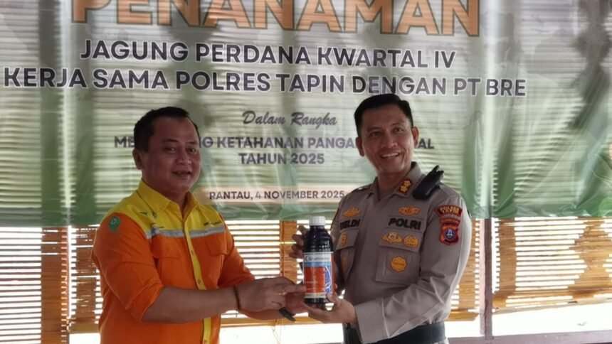 IMG 20251104 WA0033