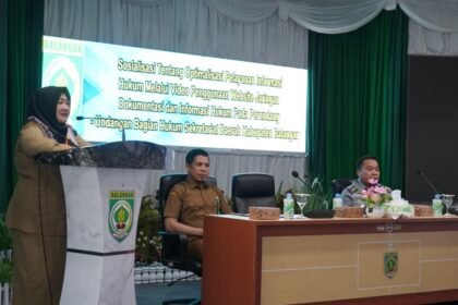 IMG 20251104 WA0036