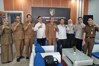 IMG 20251111 WA0021