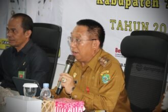 IMG 20251118 WA0015 1