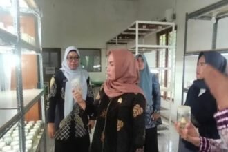 IMG 20251118 WA0016