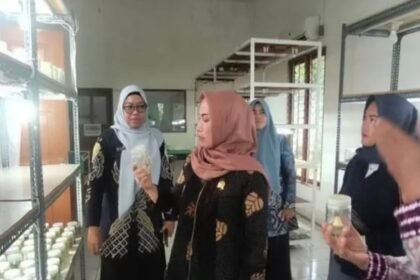 IMG 20251118 WA0016