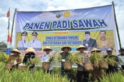 IMG 20251118 WA0045