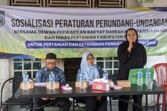 IMG 20251124 WA0007