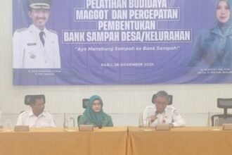 IMG 20251127 WA0008