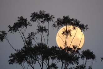 australia 2023912 1280