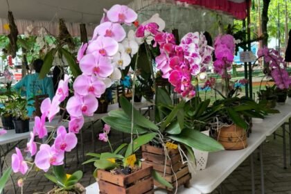 IMG 20251204 WA0041