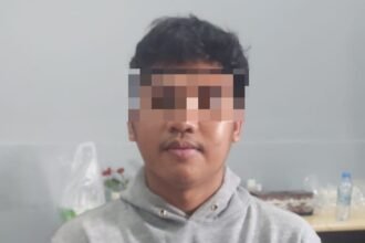 IMG 20251226 085345